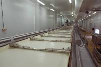 Fabrication du fromage - Caillage du lait